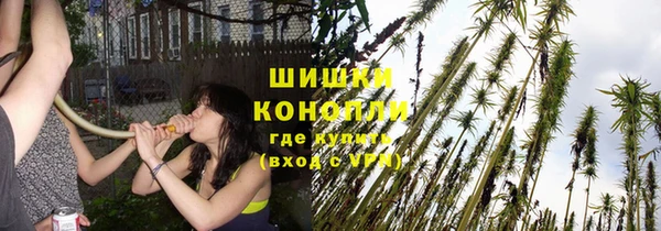 прущая мука Белокуриха